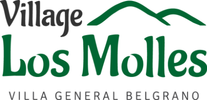 logo village grande transparente